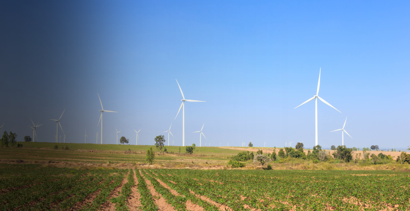 Sotreq Cat Rentals e a força que prepara o terreno da energia sustentável no Brasil