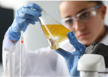 ELO NEWS Materia Gestão de ativos é com a Predic: soluções completas para toda operação 