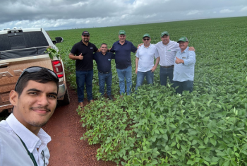 Portal Elo Materia Confiança reconstruída