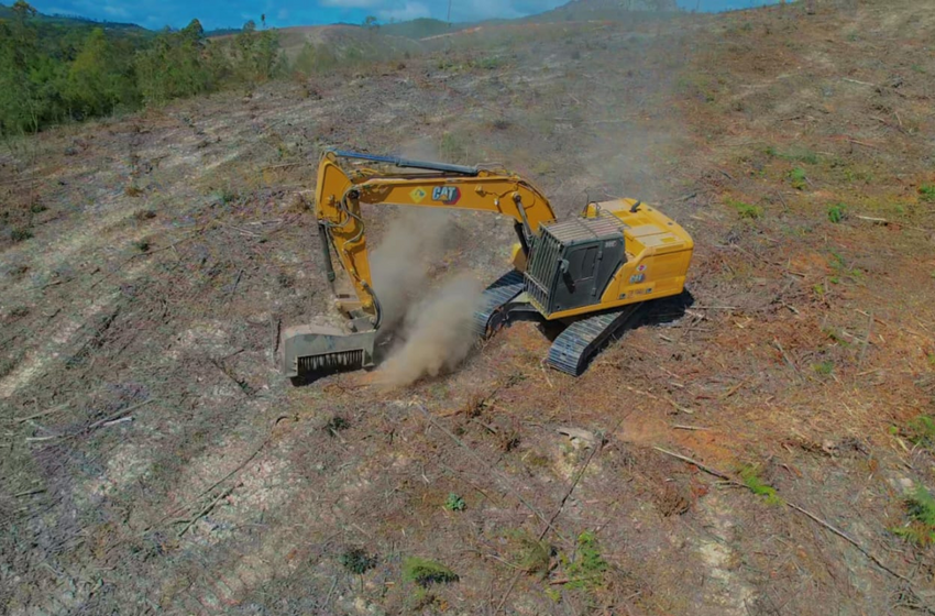 EMBRATERR, EMTERR e Sotreq Cat: manutenção inteligente que eleva o desempenho da frota