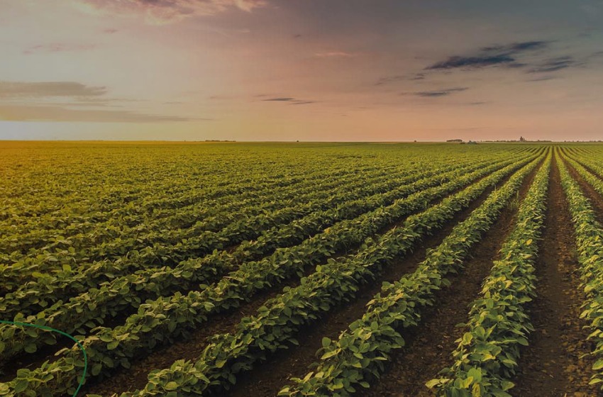 Transforme o seu agronegócio com o ARLA 32