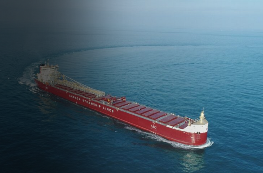 Tecnologia sueca, suporte brasileiro: como Sotreq e Berg redefinem o mercado marítimo